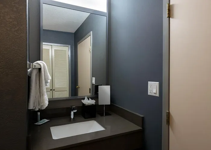 Hotel Courtyard By Marriott Airport Coliseum North Charleston