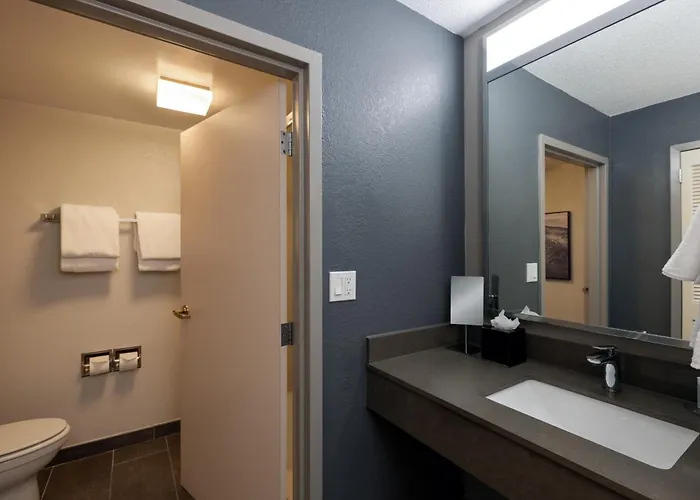 Hotel Courtyard By Marriott Airport Coliseum North Charleston
